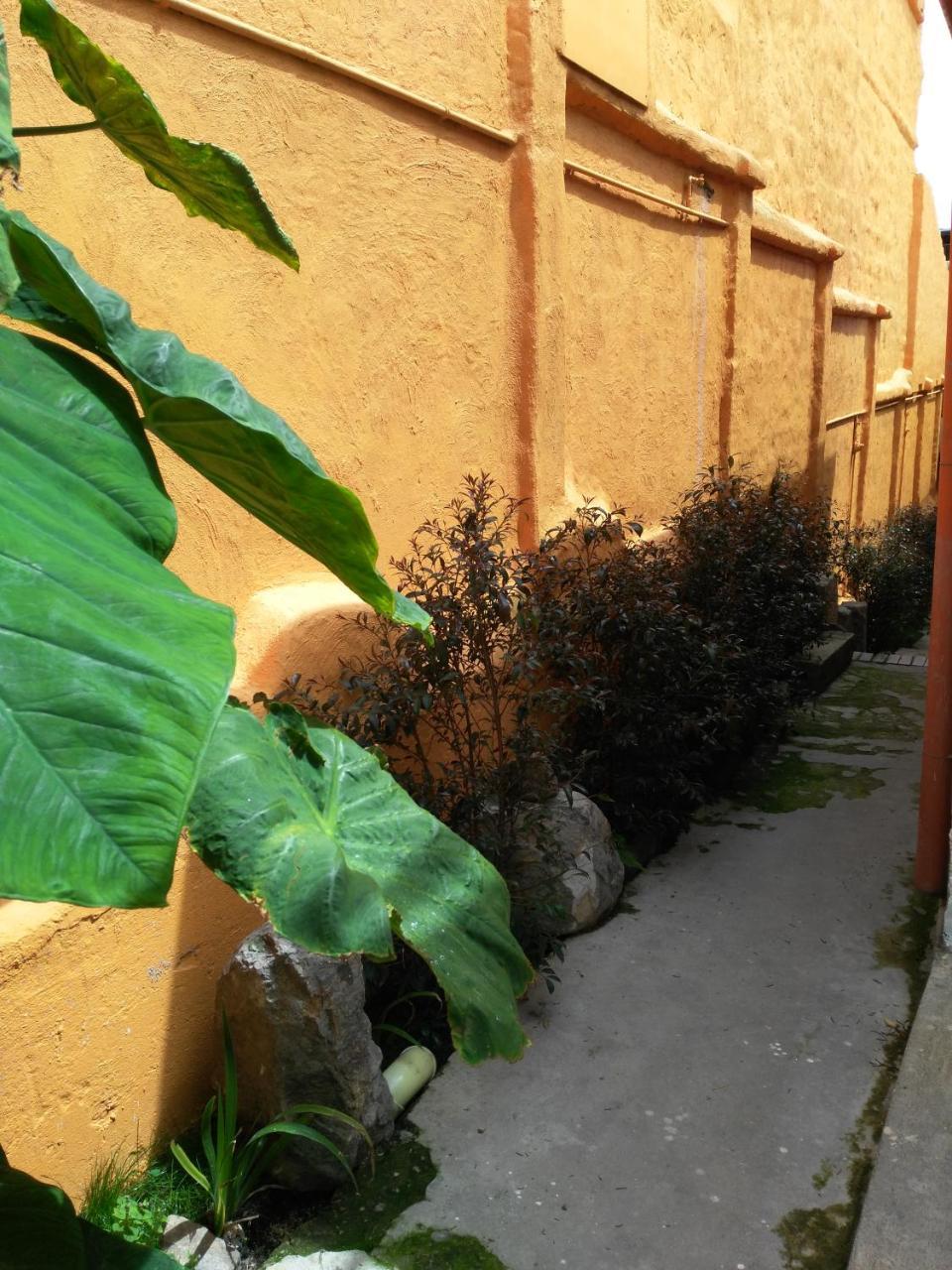 Apartament Casa-Arbol Bogotá Zewnętrze zdjęcie
